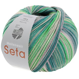 Lana Grossa MEILENWEIT 100g Seta Papillon