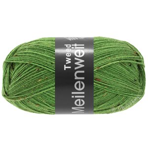 Lana Grossa MEILENWEIT 100g Tweed | 165-зелёный