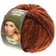 Lana Grossa OLYMPIA Alpaca | 904-коньяка/медь меланжевый