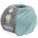 Lana Grossa RISERVA (GOTS) | 06-мята
