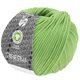 Lana Grossa RISERVA (GOTS) | 26-пастельно-зелёный