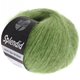 Lana Grossa SPLENDID | 09-светло-зелёный/серебряный