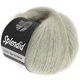 Lana Grossa SPLENDID | 19-серо-бежевый/серебряный
