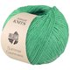 Lana Grossa SUMMER CASHMERE | 15-нефрит