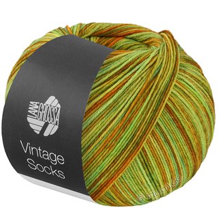 Lana Grossa VINTAGE SOCKS Multi