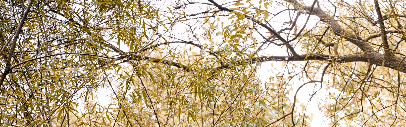 Высококачественная пряжа для вязки и свойлачивание Пряжа Lana Grossa